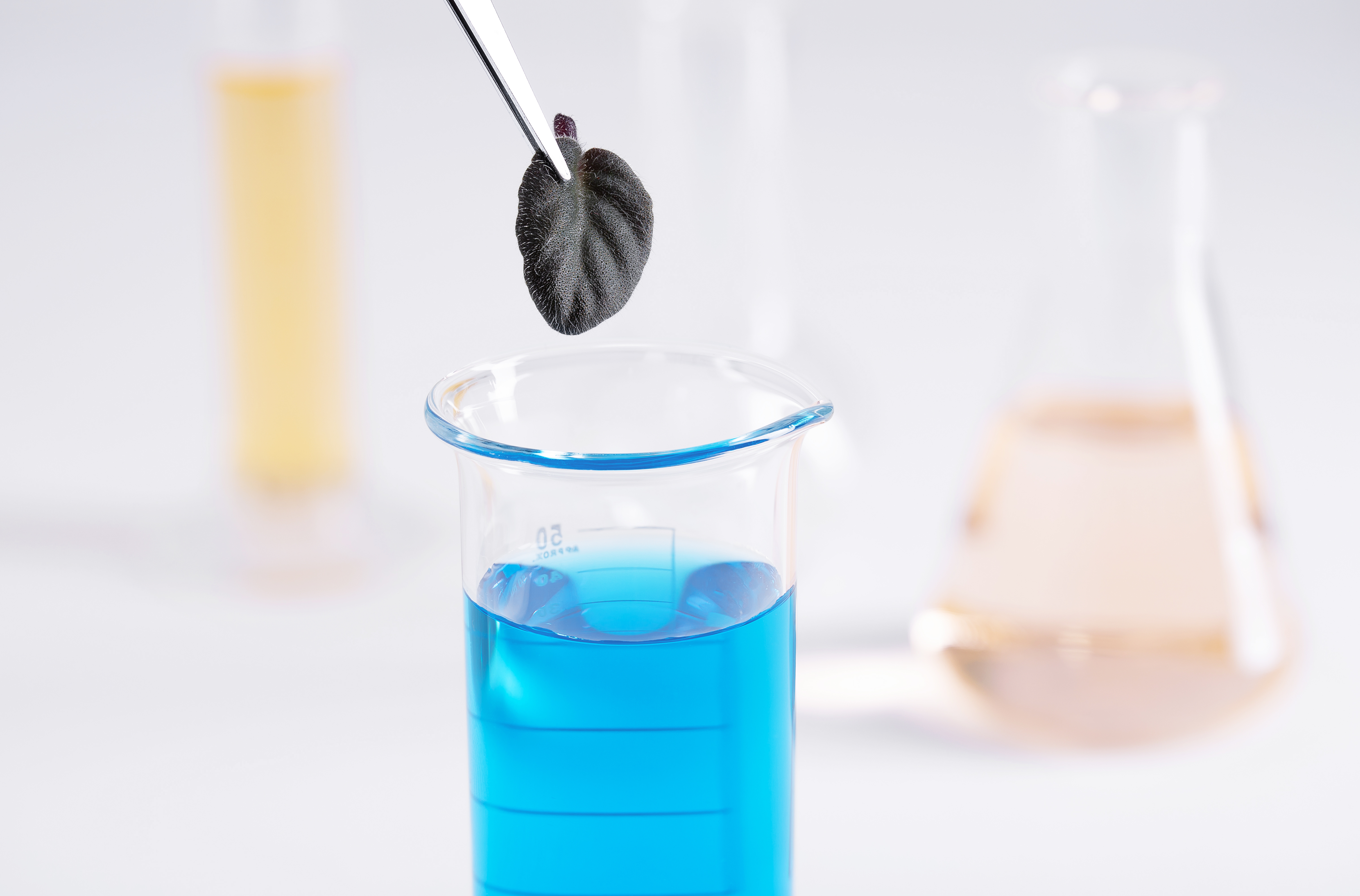 modi chemical - Best Pivaloyl Chloride Manufacturer Company